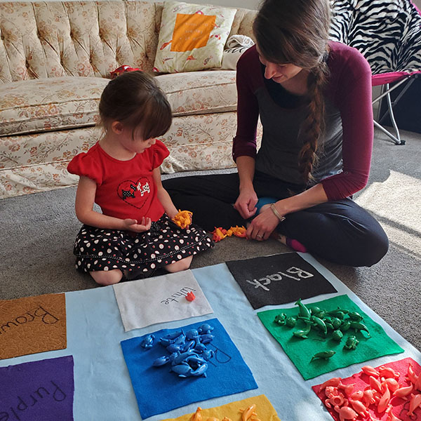 Sorting Ocean Animals playful learners